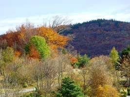 Sentier automne